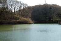 �U��Ԃ�Βz�r�ƎG�ؗ�