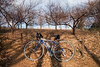 �����܂����B�~��